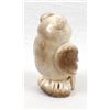Image 5 : Zuni Fossilized Ivory Owl Fetish by B. Yatsattie