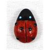 Image 1 : Zuni Coral & Black Marble Ladybug Fetish