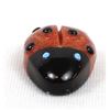 Image 4 : Zuni Coral & Black Marble Ladybug Fetish