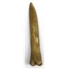 Image 1 : Prehistoric Native American Bone Awl