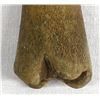 Image 2 : Prehistoric Native American Bone Awl