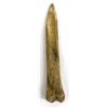 Image 3 : Prehistoric Native American Bone Awl