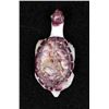 Image 5 : Zuni Carved Purple Shell Turtle Fetish by Quam