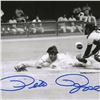 Image 2 : "Rose Diving Series" Framed Set of Autographed Archival Photographs Capturing Pe