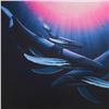 Image 2 : Wyland, "Ocean Realm" Hand Embellished Limited Edition Cibachrome, Numbered and