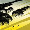 Image 2 : Eyvind Earle (1916-2000), "Cattle Country" Limited Edition Serigraph on Paper; N