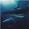Image 2 : Wyland, "Whale Protection" Limited Edition Cibachrome, Numbered and Hand Signed