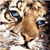 Image 2 : "Cub" Limited Edition Giclee on Canvas by Stephen Fishwick, Numbered and Signed.