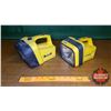 Image 1 : Flashlights (2): Ever Ready Dolphin (working) & Ever Ready Sport Gear (not working)