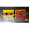 Image 2 : AMMO: 6mm Rem (w/2 Plastic Ammo Cases) (40 Rnds)