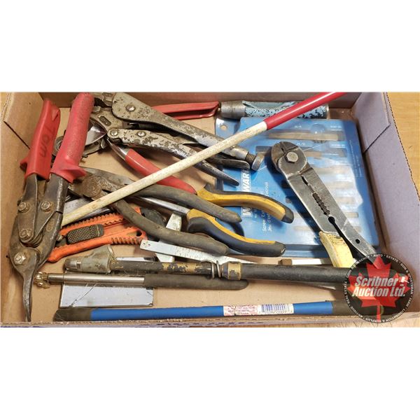 Tray Lot: Easy Outs, Valve Core Tool, Tire Gauge, Tin Snips, Vice Grips, etc