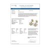 Image 4 : 5.08 ctw Marquise Diamond Earrings 18K Yellow Gold - REF-801R3K