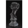 Image 2 : Bust of Jean Leon Gerome
