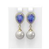 Image 1 : 7.03 ctw Tanzanite & Diamond Earrings 18K Yellow Gold - REF-360G2W