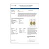Image 4 : 11.05 ctw Canary Citrine & Diamond Earrings 18K Yellow Gold - REF-318R2K