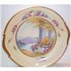 Image 1 : Hand Painted Pickard Deserted Garden Cake Plate#1456375