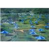 Image 1 : Signed Christo   Blue Umbrellas #1492502