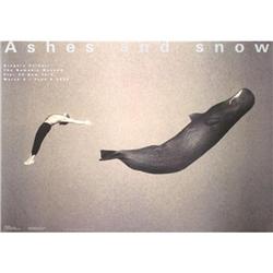 Gregory Colbert with Whale #1492589