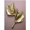 QUALITY GOLD TONE  DETAILED BROOCH  #1492876