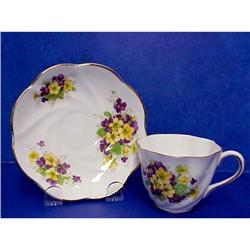 Salisbury English China Cup & Saucer #1493016