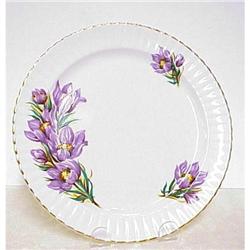 Royal Windsor Plate - Prairie Crocus #1493036