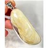 Picture PERFECT Baltic Amber Sterling Pendant  #1493798
