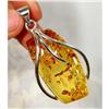 Radiant Honey Baltic Amber Sterling Pendant #1493916