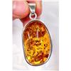 TOO Flashy Honey  Baltic Amber Sterling Pendant#1493937