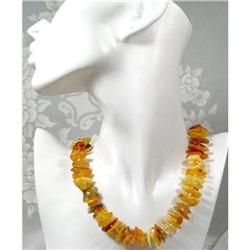 Knotted Natural Multi-colored Baltic  Amber #1494044