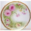 Image 1 : Bavarian Rose Decorated Plate #1494514