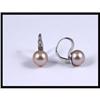 14K White Gold Pearl and Diamond Earrings #1494613