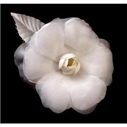  White Camellia Corsage #1494764