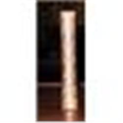 1105 Addison, Remarks on Several Parts of #1494830