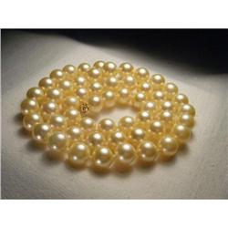 14K YG 8mm Cultured Yellow Akoya Pearl Necklace#1495061