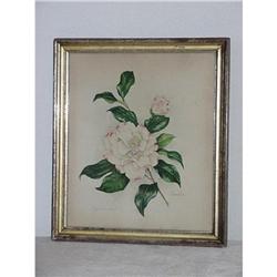 Flower Watercolor SKU 5846 #1495308