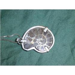 Silver pendant with Fossil #1495722