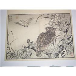 Kono Bairei Wood Block Print Owl #1495793