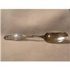 Image 1 : VICTORIAN STERLING SILVER SERVING SPOON #1496114