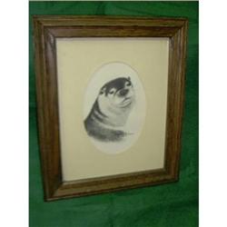Framed Otter Print Signed by Richard G. Lowe #1509994