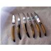 Image 1 : Vintage Bakelite Steak Knives Set #1510287