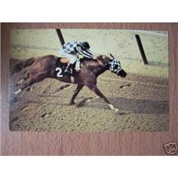 RARE SECRETARIAT POSTCARD - VINTAGE TRIPLE #1510378