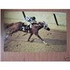 Image 1 : RARE SECRETARIAT POSTCARD - VINTAGE TRIPLE #1510378