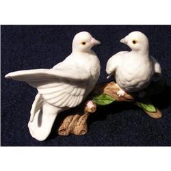 Lefton Doves Sitting on a Tree Branch #1510731