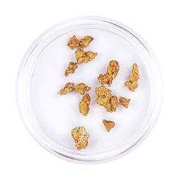 Lot of Gold Nuggets 3.90 grams Total Weight