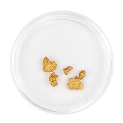 Lot of Gold Nuggets 1.95 Grams Total Weight