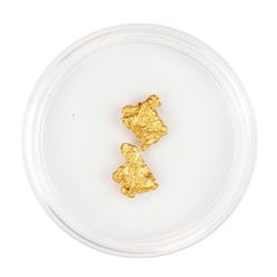Lot of Gold Nuggets 2.31 Grams Total Weight