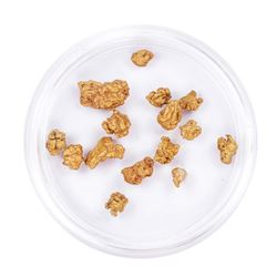 Lot of Gold Nuggets 5.25 grams Total Weight