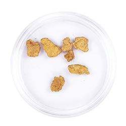 Lot of Gold Nuggets 3.25 grams Total Weight