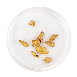 Lot of Gold Nuggets 3.74 Grams Total Weight