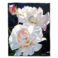 Brian Davis  Two White Roses  Limited Edition Giclee on Paper
